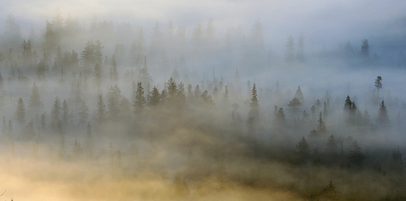 Valley fog at sunrise, eastern Washington