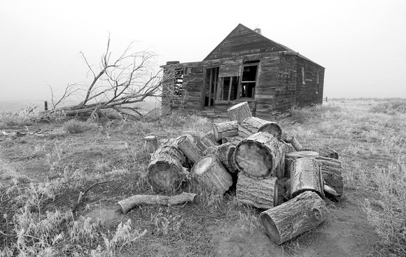 Cut wood and abandoned farmhouse, eastern Washington