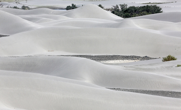 Sand dunes, Nubra valley, Ladakh, India