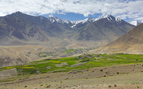 Valley fields below Khardung la, Ladakh, India