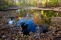 Fall colors reflected in pond, Beacon Falls, Connecticut