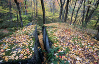 Split rock and fall colors, Mohawk State Forest, Connecticut