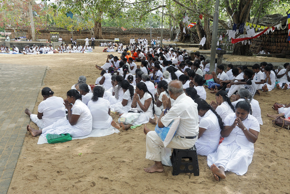 Buddhist prayer gathering, Anuradhapura, Sri Lanka