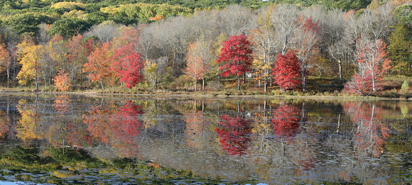 Fall colors and reflection, West Cornwall, Connecticut
