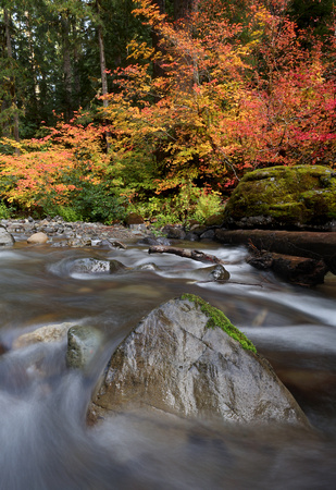 Skate Creek and fall colors, Gifford Pinchot National Forest, Washington