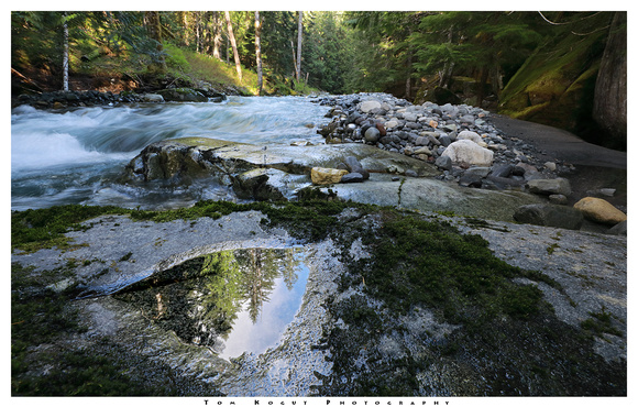 Rainwater pool and Stevens Creek, Mt. Rainier National Park