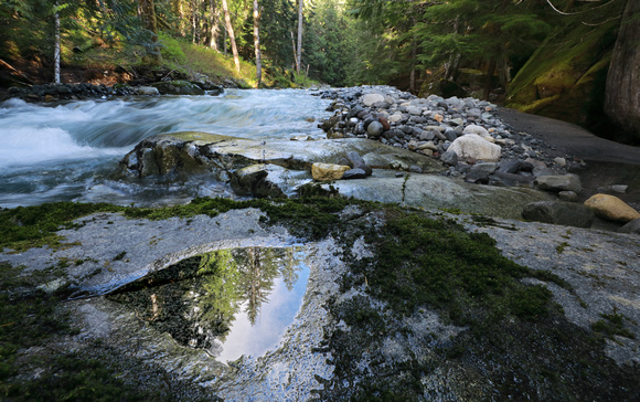 Rainwater pool and Stevens Creek, Mt. Rainier National Park, Washington