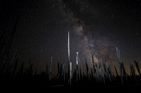 Burned forest and the Milky Way, William O. Douglas Wilderness, Washington
