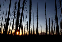 Sunset with burned forest and Mt. Rainier, William O. Douglas Wilderness, Washington