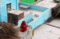 Village woman in red with blue walls and sleeping dog, Barsana, India