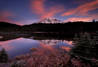Pacific Northwest: The Best of Mt.Rainier National Park