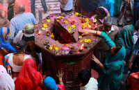 Woman touching shrine during Holi festival, Vrindavan, India