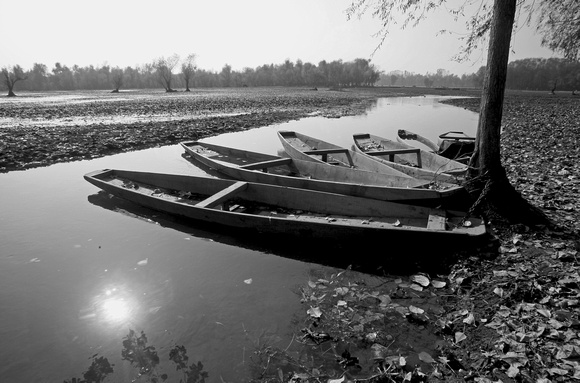 Boats along channel, Kashmir, India