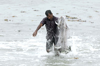 Man with netload of fish, Cochin, Kerala, India