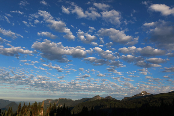 Clouds rolling in, Mt. Rainier National Park, Washington