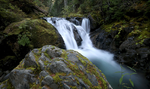 Waterfall along forest trail, Mt. Rainier National Park, Washington