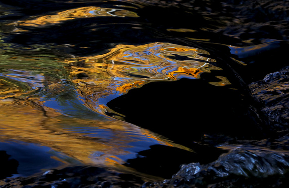 Golden western larch tree colors reflected in stream under a bridge, eastern Washington