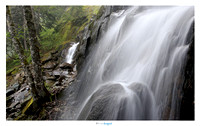 Waterfalls, Box Canyon area, Mt. Rainier National Park, Washington