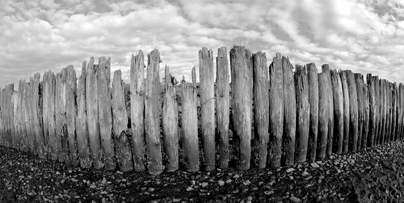 Old pilings, Padilla Bay, Washington