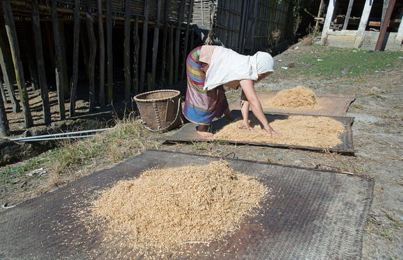 Apatani tribal woman processing rice, Arunachal Pradesh, India