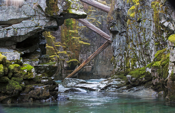 Chinook Creek gorge, Mt. Rainier National Park, Washington
