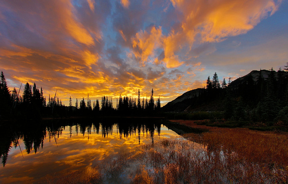 Sunrise, Mt. Rainier National Park, Washington