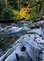 River rocks with small pool and orange vine-maple, Ohanapecosh River, Mt. Rainier NP