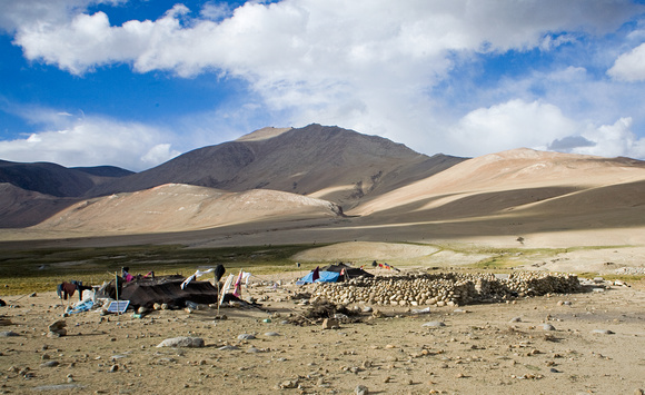 Nomad camp, Changthang plateau, Ladakh, India