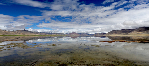 Tso Kar (salt lake) panoramic, Ladakh, India