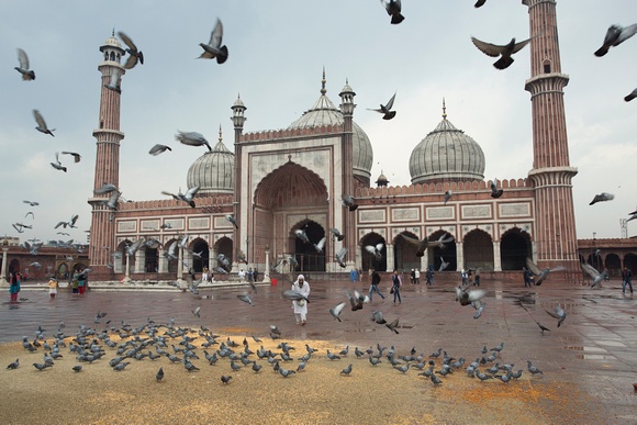 Jama Masjid and flying pigeons, Old Delhi, India