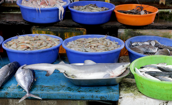 Fish for sale, Fort Kochi market, Kerala, India