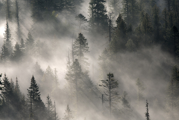 Fog in valley, eastern Washington