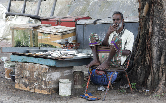 Man at fish stall, Cochin, Kerala, India