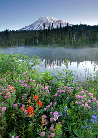 Mt. Rainier with wildflowers, Reflection Lake, Mt. Rainier NP