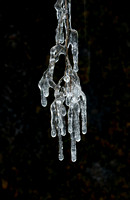 Icicle formation, Gifford Pinchot National Forest, Washington