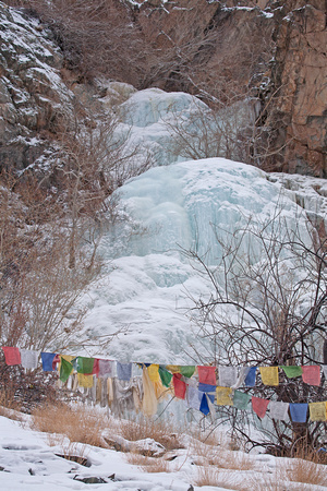 Prayer flags and frozen waterfall, Hemis National Park, Ladakh, India