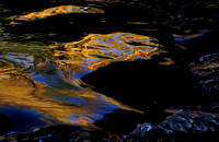 Golden western larch tree colors reflected in stream under a bridge, eastern Washington