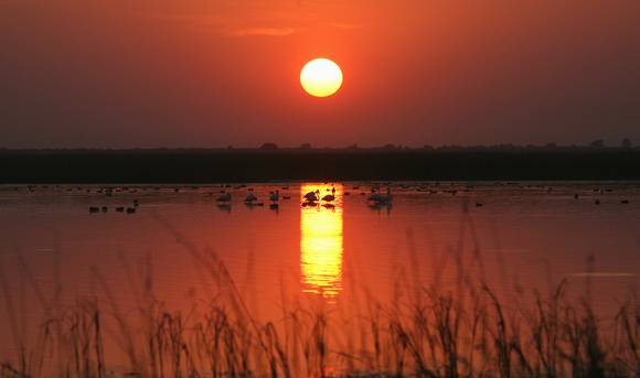 Sunset, Rann of Kutch lake, Gujarat, India
