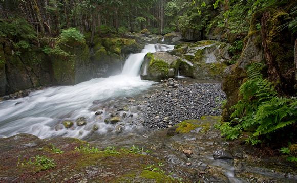 Stevens Creek, Mt. Rainier National Park, Washington