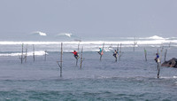 Stilt fishermen, Welligama, Sri Lanka
