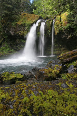 Iron Creek falls, Gifford Pinchot National Forest, Washington