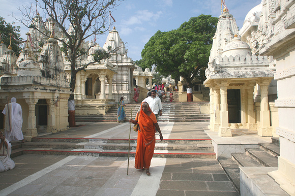 Worshipers and temples, Palitana, Gujarat, India