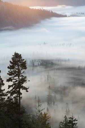 Valley fog near Rimrock Lake, eastern Washington