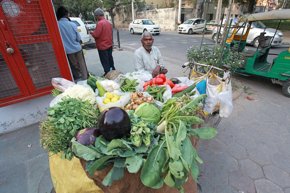 Vegetable street vendor, Delhi, India
