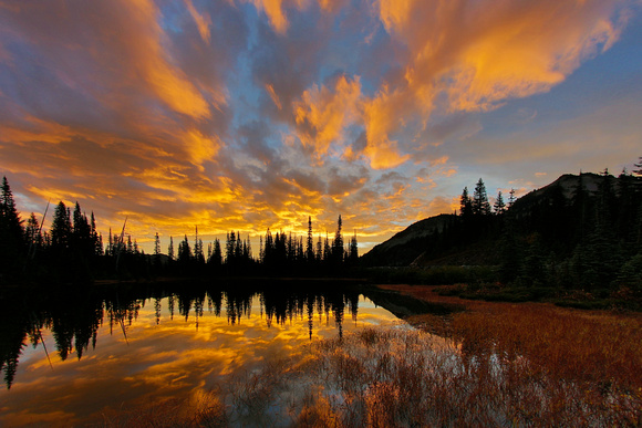 Sunrise, Mt. Rainier National Park, Washington